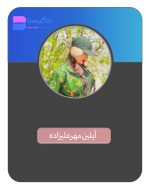 قیمت و هزینه و تعرفه تبلیغ در پیج بلاگر آیلین مهرعلیزاده