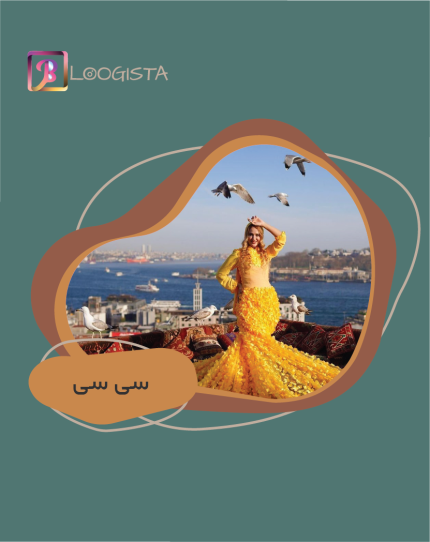 تبلیغ در پیج بلاگر سی سی